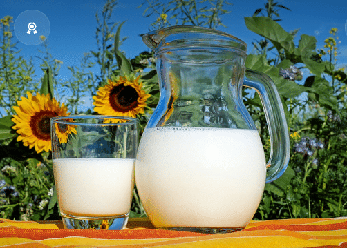 Milch in Kanne und Glas vor Sonnenblumen