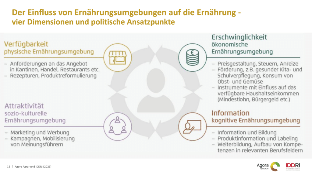 Grafische Darstellung: Die vier Dimensionen und politischen Ansätze, wie Ernährungsumgebungen Einfluss auf die Ernährug nehmen